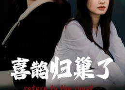 短剧《喜鹊归巢了（60集）》精彩短剧完整版在线赏