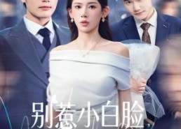 短剧《别惹小白脸，他真是董事长（68集）》短剧热门在线高清看