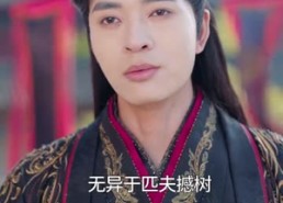 短剧《入玄成仙，从不当赘婿开始（80集）》短剧完整免费在线追剧