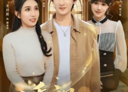 短剧《透视医婿（81集）》短剧全集免费高清观看