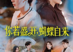 短剧《你若盛开，蝴蝶自来（63集）》精彩短剧免费在线追更