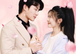 短剧《且以旧火试新茶（79集）》高清短剧全集免费看