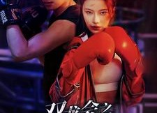 短剧《双龙会之凤鸣龙吟（80集）》优质短剧在线流畅播放