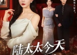 短剧《陆太太今天离婚了（59集）》热门短剧免费全集赏