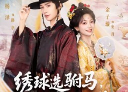 短剧《绣球选驸马，砸中小太监（81集）》优质短剧免费在线看