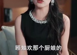 短剧《偏爱肥妻小厨娘 (100集)》爆款短剧免费在线追剧