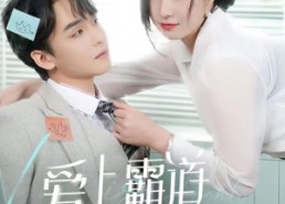 短剧《爱上霸道女总裁（73集）》精彩短剧免费在线览