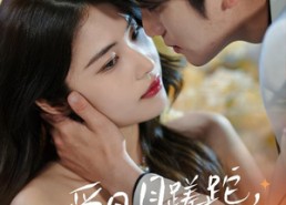 短剧《爱日月蹉跎，小起大落（36集）》高清短剧全集免费享