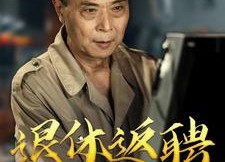 短剧《退休返聘之一鸣惊人（65集）》短剧全剧免费在线细品