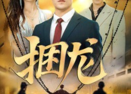 短剧《捆龙（87集）》高分短剧免费在线追剧