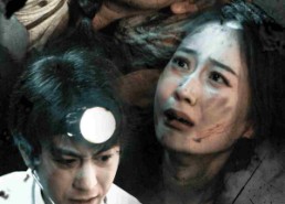 短剧《迟到的爱（48集）》热门短剧完整版免费赏