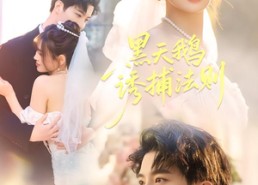 短剧《黑天鹅诱捕法册（80集）》短剧全集免费在线追剧