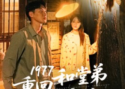 短剧《1977重回和堂弟换亲前（95集）》精彩短剧免费全集观览