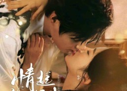 短剧《情起御龙归（61集）》短剧免费高清全集看