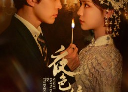 短剧《夜色缠枝（60集）》短剧完整版免费在线播放