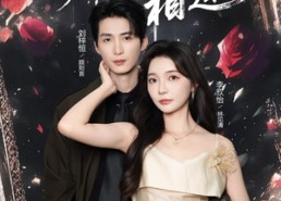 短剧《偏偏再相逢（54集）》超火短剧在线免费看