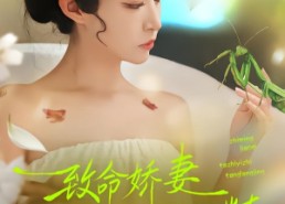 短剧《致命娇妻：她是一只螳螂精（51集）》短剧全集免费在线观赏