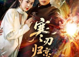 短剧《寒刃归京华（65集）》精彩短剧免费全集畅享