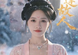 短剧《再逢故人（49集）》优质短剧免费在线悦看