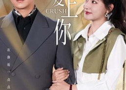 短剧《敲敲爱上你（53集）》免费短剧全集在线速看