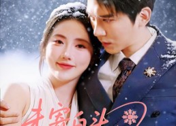 短剧《未寄白头雪满枝（61集）》免费短剧全集畅快追剧