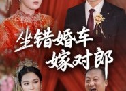 短剧《坐错婚车嫁对郎（32集）》免费短剧全集高清畅享