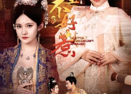 短剧《小公主不好惹（62集）》免费短剧完整版追剧