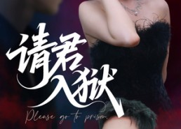 短剧《请君入狱（31集）》精彩短剧免费在线追看