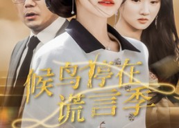 短剧《候鸟停在谎言季（45集）》精彩短剧在线免费享