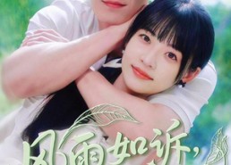 短剧《风雨如诉凉薄如你（70集）》免费短剧全集在线畅览