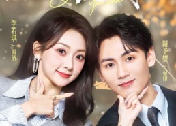 短剧《情不厌诈（67集）》免费短剧全集在线畅享