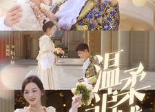 短剧《温柔追捕（89集）》短剧免费畅享完整剧情