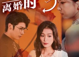短剧《新婚夜，离婚时（35集）》免费短剧在线完整播