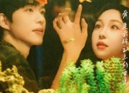 短剧《我们在云端相吻（60集）》精彩短剧免费畅享