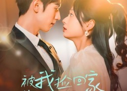 短剧《被我捡回家的男人身价不菲（59集）》优质短剧免费全集观