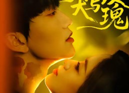 短剧《疯犬与玫瑰（80集）》短剧全集免费在线畅享