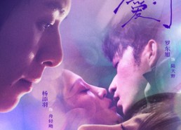 短剧《赘入爱河（71集）》短剧全集免费在线播