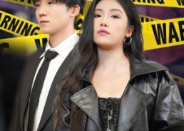 短剧《我的特工老婆（30集）》精彩短剧免费畅享观看