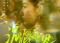 短剧《沉沦锦年如初见（79集）》热门短剧免费在线追完