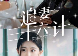 短剧《追妻三十六计（82集）》热门短剧免费在线品鉴