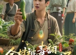 短剧《全村被毒翻我医圣身份曝光了（80集）》短剧全集免费在线享