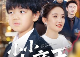 短剧《小小地产王（50集）》高清短剧免费在线畅看