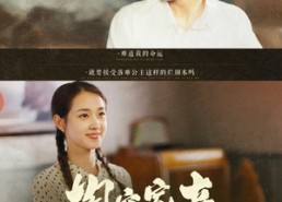 短剧《掏空家产，千金小姐去海岛寻夫（83集）》精彩短剧免费全集播放