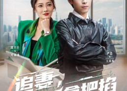 短剧《追妻，我手拿把掐（68集）》短剧全集免费流畅看