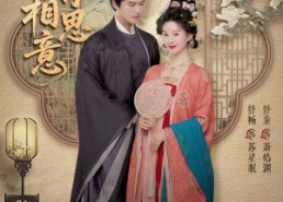 短剧《唯有相思意（100集）》免费热门短剧全集观