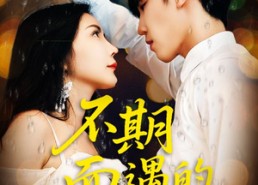 短剧《不期而遇的33天（45集）》短剧全集免费畅快观