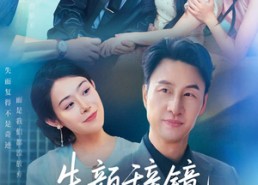 短剧《朱颜辞镜人辞故（63集）》爆款短剧免费全集速看