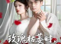 短剧《玫瑰枯萎时你才说爱我（100集）》精彩短剧全集免费观