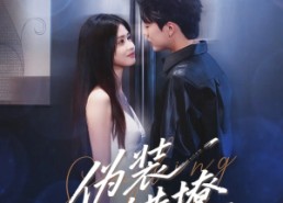 短剧《伪装错撩（62集）》免费短剧全集畅快追