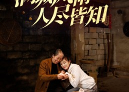 短剧《满城风雨人尽皆知（32集）》热门短剧免费全集在线享